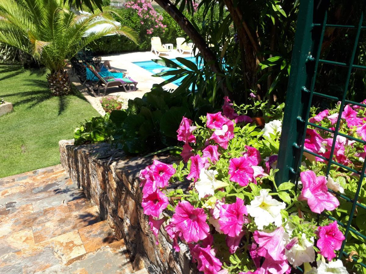 Quintinha Dos Cedros Villa Alfandega Da Fe Exterior photo
